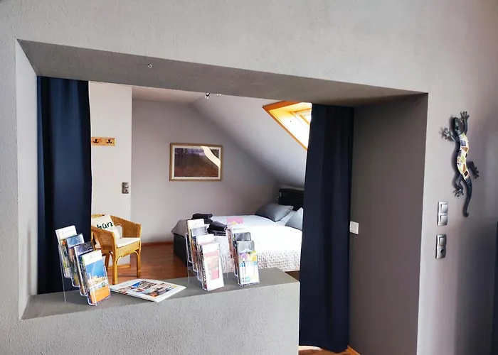 Gluecklich Am Harz Vakantiehuis Goslar